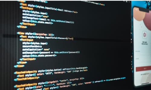 The Rise of Custom Software in Indian Business