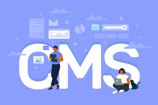 Content Management Systems (CMS)